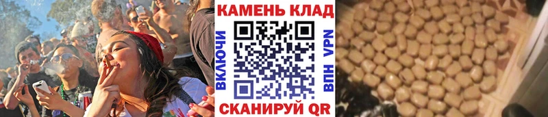 ГАШ VHQ  Суровикино 